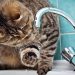 В Павлограде снова проблемы с водой