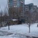 Два трупи на шкільному подвір’ї