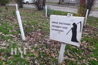 «Посади на своїй могилі вкрадене дерево»