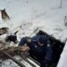 Щасливі історії: правоохоронці рятують чотирилапих