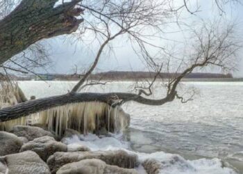 Державі повернули Карачунівське водосховище