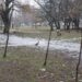 Якою буде погода в Дніпрі наступного тижня