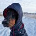 Огляд подій на ранок 13.01.2022