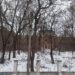 [Photo] Будинок не має бути зруйнованим!