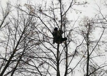 У Дніпрі двоє чоловіків шукали наркотики на дереві