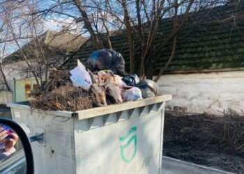 Жертвопринесення або жарт: у сміттєвому баку Дніпра знайшли козячі голови (ФОТО)