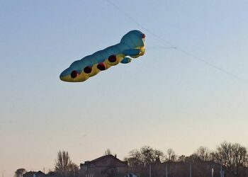 У небі над Нікополем літала 5-метрова сороконіжка (ФОТО)
