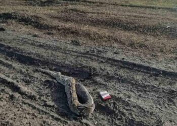 Екзотична знахідка: біля річки Вовча у Павлограді знайшли мертвого удава (ФОТО)