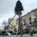 Новий рік переїжджає: доки у центрі розбирають ялинку, на Барикадній, навпаки, прикрашають дерева