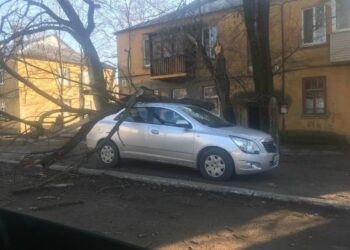 У Дніпрі автівку придавило деревом (ФОТО)