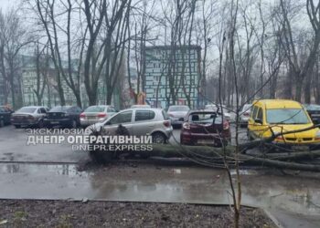 У Дніпрі величезне дерево впало на авто