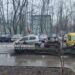 У Дніпрі величезне дерево впало на авто