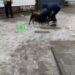 Дніпрянку мало не загризли дві бійцівські собаки (Відео)