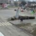 [Video] ДТП: на ранок їх трапилося вже декілька