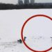 Злочинна необережність жінки, яка поставила під загрозу не тільки своє життя, але і життя дити […]