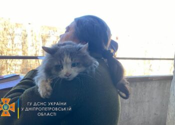 У Дніпрі пожежники врятували кота з палаючої квартири (ФОТО)