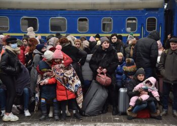 У чергах по 20 годин: переселенцям радять обирати вільні напрями