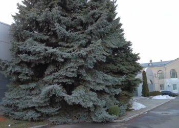 Вибухи в дніпровському аеропорту