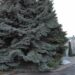 Вибухи в дніпровському аеропорту