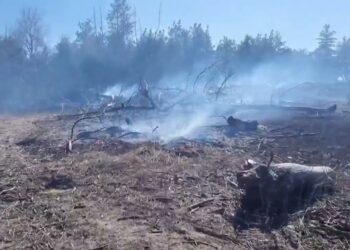 ДснСники Дніпра: припиніть підпалювати сухостій! Під час війни – це злочин!