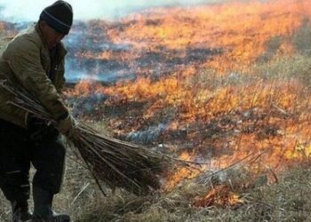 Палила сухостій та зруйнувала два сараї