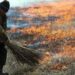 Палила сухостій та зруйнувала два сараї