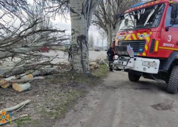 Деревопад: на Дніпропетровщині сильний вітер наробив багато лиха