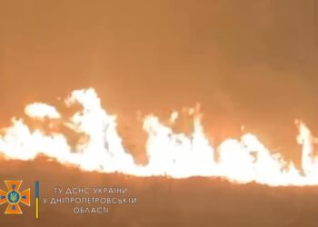 Під Дніпром вогнеборцям невдається приборкати масштабну пожежу: горить сухостій