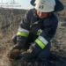 Вогнеборці Дніпропетровщині врятували родину їжаків