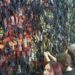 У Дніпрі волонтери плетуть маскувальні сітки для ЗСУ: як долучитися
