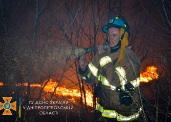 За добу рятувальники ліквідували на Дніпропетровщині рекордну кількість пожеж в екосистемах