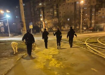 Вулиці Кривого Рогу вийшли патрулювати кінологи із собаками