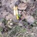 У Дніпрі перехожі знайшли вибухонебезпечний предмет та гроші