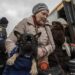 Дніпро готовий прихистити покинутих собак зі всієї України