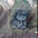 Бригада «Холодний Яр» розгромила окупантів, які чинили звірства у Бучі