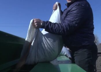 Посівна кампанія проходить у штатному режимі