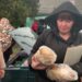 До нашої прифронтової області продовжують прибувати біженці