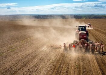 Посіяли ранні зернові: як живе під час війни Новомосковський район