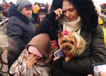 Кількість біженців з України перевищила 4 мільйони, з них приблизно 2 мільйони – діти