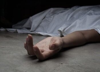 У Павлограді 24-річний мешканець вбив свою матір