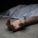 У Павлограді 24-річний мешканець вбив свою матір