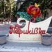 Петриківщина працює на перемогу: голова громади розповіла про ситуацію