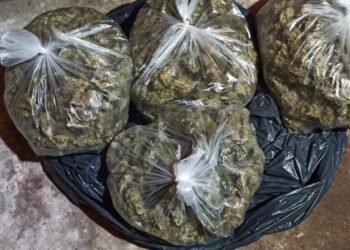 Залучив до нарко-бізнесу власну матір: у Дніпрі затримали учасників злочинного угруповання