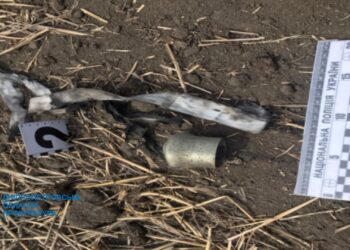 Мешканець Дніпропетровщини випасав худобу та підірвався на касетному боєприпасі: розпочато розслідування (ФОТО)