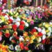 Дніпрян просять відмовитися від штучних квітів на поминальні дні