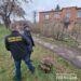 У Кривому Розі поліцейські вилучили в місцевого мешканця 39 сліп-пакетів метамфетаміну