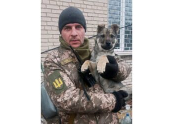 У бою за Україну загинув захисник з Широкого Євген Красовський
