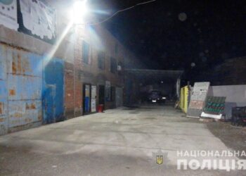 У Нікополі чоловік вбив сокирою свого 27-річного напарника