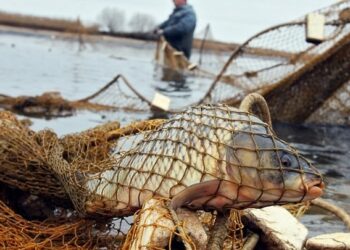 Правоохоронці Дніпра виявили понад 900 метрів рибальських сіток