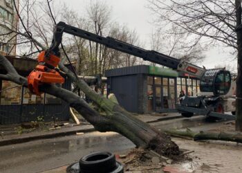 У Дніпрі через сильний вітер на торгівельні павільйони впало величезне дерево